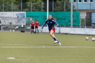 Bild 154 - wBJ Hamburger SV - FC Suederelbe : Ergebnis: 9:0